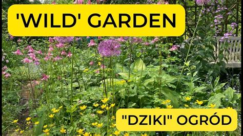 Magic Garden Wild Garden Dziki Ogr D Wilde Garte Subt Napisy