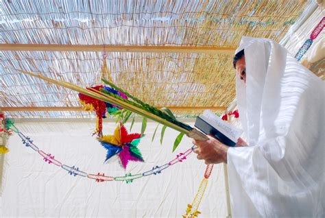 住棚节 野橄榄之家