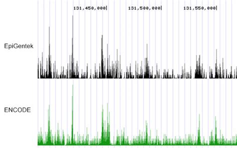 Chip Sequencing Chip Seq Service Epigenetic Services