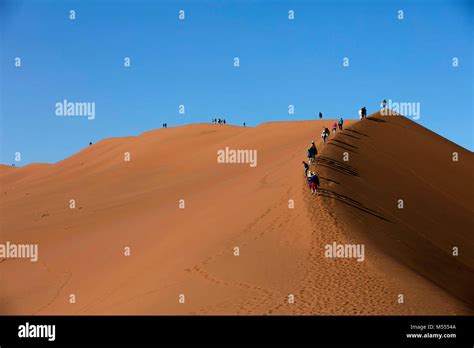 Sand dunes in Namib-Naukluft Park, Namib Desert, Namibia, South Africa ...