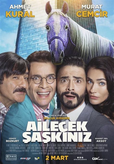 Statistieken Van Ailecek Saskiniz Film