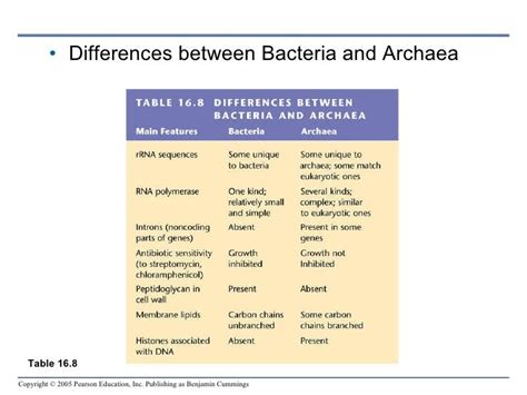 Bacteria Vs Archaea