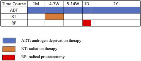 Treatment Schedule In The Protocol Abbreviations M Month W Week