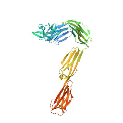 Gene P07333 Protein CSF1R Overview CanSAR Ai