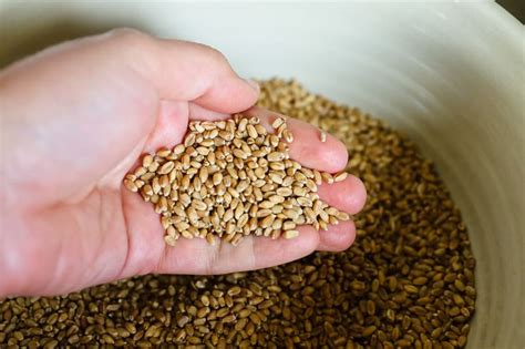 How To Use A Grain Mill To Make Your Own Flour From Wheat Berries