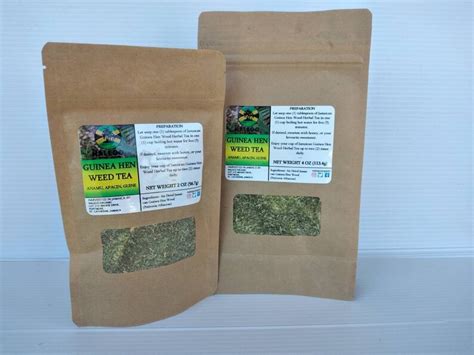 Jamaican Guinea Hen Weed Tea Petiveria Alliacea - Etsy