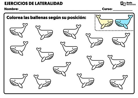 Ejercicios De Lateralidad Para Primaria Fichas Coordinaci N