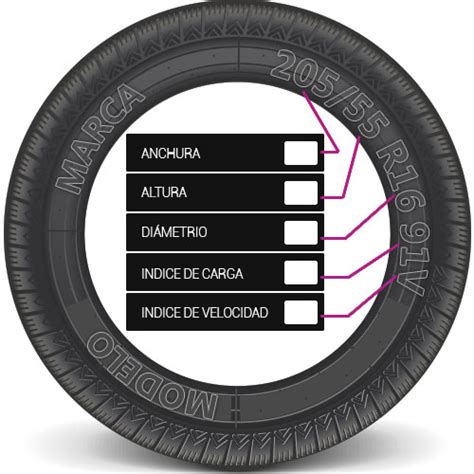 Memo cómo leer un neumático 1001NEUMATICOS