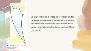 Pol Gono De Posselt Oclusi N Odontolog A Ppt