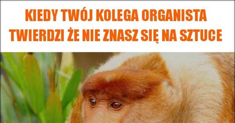 Kiedy twój kolega organista twierdzi że nie znasz się na sztuce memy