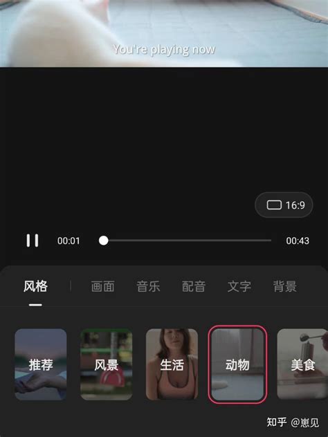 做海外抖音tiktok怎么制作英文视频？看完你就学会了！ 知乎