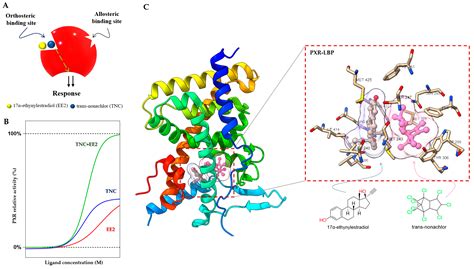 Allosteric Antagonism Of The Pregnane X Receptor Encyclopedia Mdpi