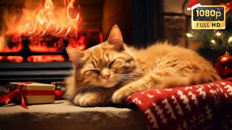 Merry Christmas With Purring Cat In Cozy Room Fireplace Cat S Purr