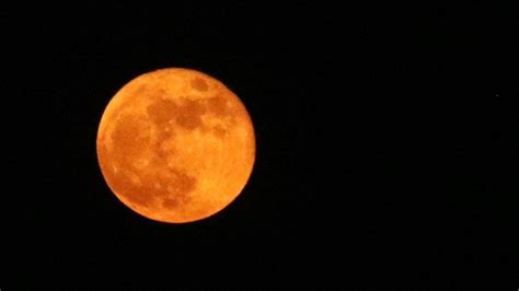 Luna De Lobo C Mo Y A Qu Hora Ver La Primer Luna Llena Del A O