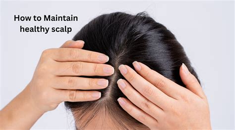 How To Maintain Healthy Scalp Herbcience