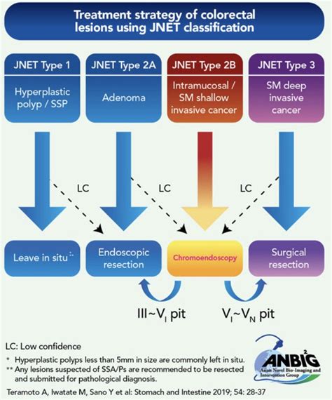 EndoCollab GI Endoscopy Community On Twitter Colorectal Polyp