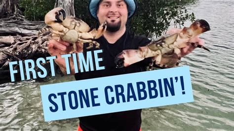 Catching Stone Crabs With Traps In Gulf Of Mexico Catch And Cook