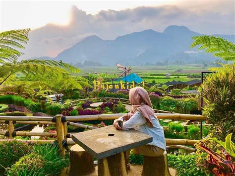 Menikmati Keindahan Alam Kota Batu Di Cafe Sawah Pujon Kidul Malang