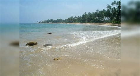 Pamban Island: Where nature and history converge, Tamil Nadu - Times of ...