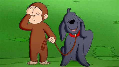 Curioso Come George Giocare Con I Cani Cartoni Per Bambini Youtube