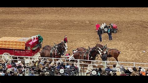 San Antonio Rodeo Clydesdale Wreck 2023 Youtube