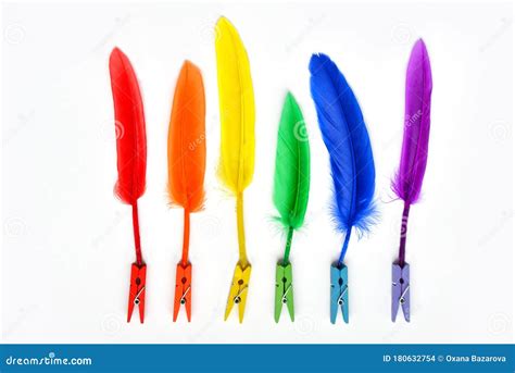 LGBT Flag Painted Isolated On A White Background Rainbow Colored Feathers Of The LGBT Gay Pride