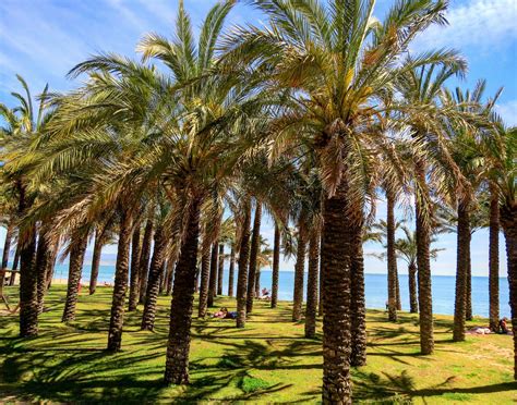 Best Of Spain in 12 Days - Ultimate Spain Itinerary – Travel With Me 24 X 7