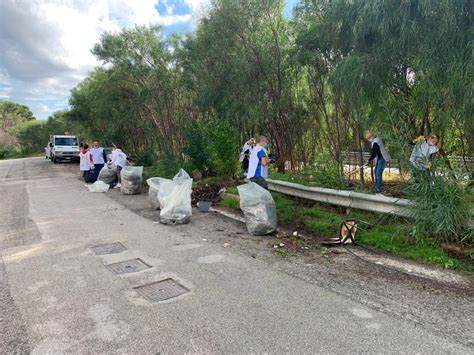 Castellammare Del Golfo Volontari In Azione Per Ripulire Le Aree Verdi