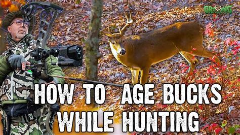 How To Age Bucks While Hunting Youtube