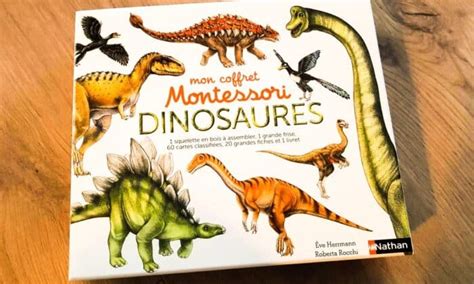 Mon Coffret Montessori Dinosaures Lecture Et Avis 2023