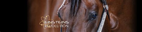 Einsteins Revolution Silver Spurs Equine