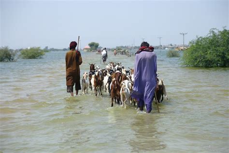 Zhang Heqing张和清 On Twitter Rt Xhnews Southern Pakistans Sindh