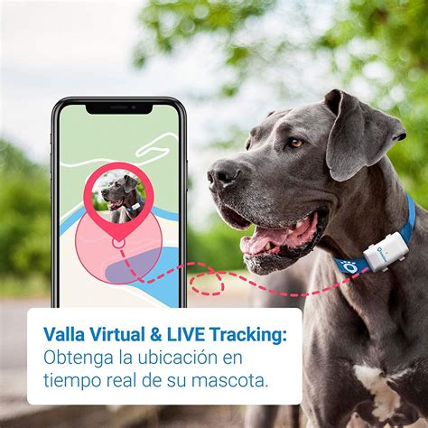 Localizadores Gps Para Tener Siempre Controlada A Tu Mascota