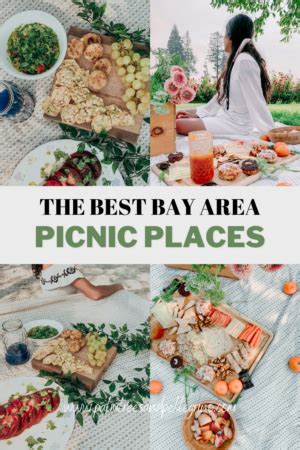 6 Best Picnic Spots In The Bay Area Palm Trees Pellegrino