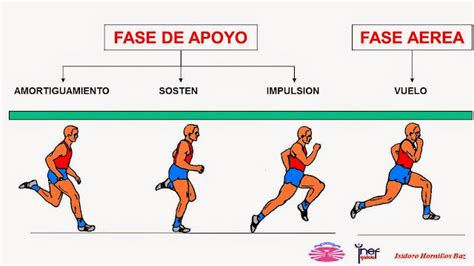 Ejercicios De T Cnica De Carrera