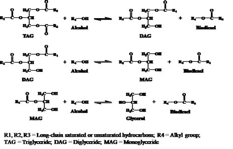 Schematic Of The Generalized Transesterification Reaction Mechanism For