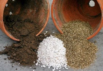 How to Make Your Own Potting Soil | Planet Natural