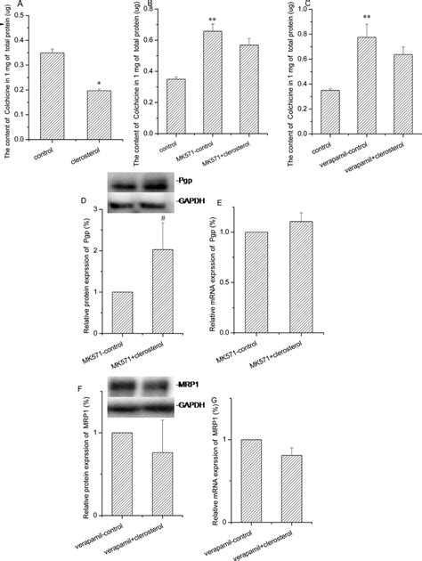 Clerosterol S Effect On Mrp And Pgp In Hek Cells A Colchicine