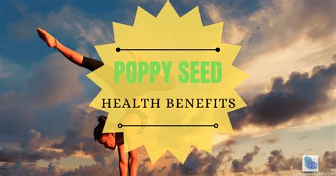 Poppy Seed Health Benefits | Top 5 List