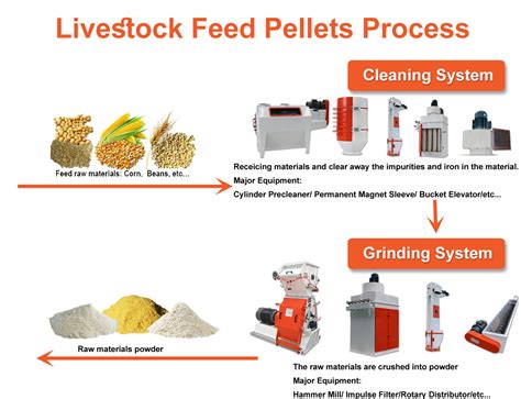 Customized Livestock Feed Pellet Production Plant For Pig Rabbit