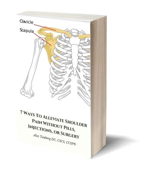 3d Book Shoulder Tauberg Chiropractic And Rehabilitation The Pittsburgh Chiropractor