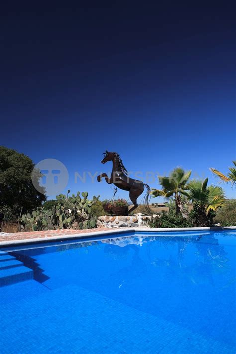 Luxury Resort Swimming Pool