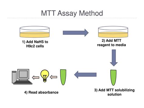 Ppt The Controlled Delivery Of Hydrogen Sulfide For The Preservation