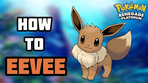 How To Get Eevee In Pokemon Renegade Platinum Youtube