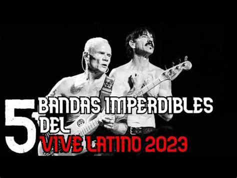 Bandas Imperdibles Del Vive Latino El Regreso De Los Red Hot A