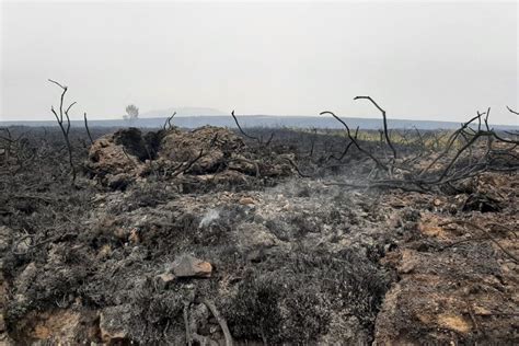 Incendie dans les Monts d Arrée La MSA accompagne les exploitants touchés