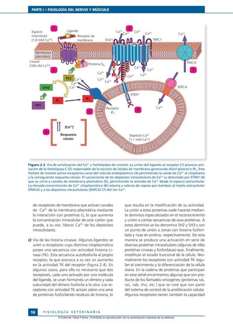 Fisiolog A Veterinaria Sacristan Pdf