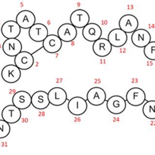 The primary structure of human amylin (islet amyloid polypeptide). From ...