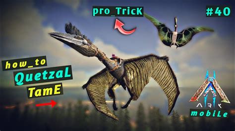 Ark Survival Evolved Mobile Quetzal Tame How To Tame Quetzal Ark