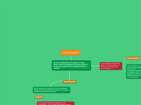 Leyes De Mendel Mind Map